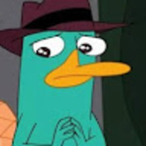 Meet your Posher, Rui